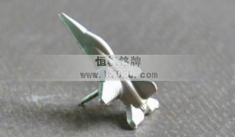 中國(guó)民航總局