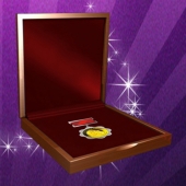 2013年8月：定制廣東萬達(dá)純銀鑲純金紀(jì)念章銀包金紀(jì)念幣章