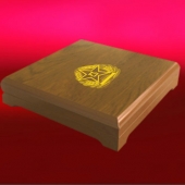 2013年12月：定制空軍航空兵42師戰(zhàn)友聚會純銀紀(jì)念章