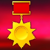 2013年12月：定制空軍航空兵42師戰(zhàn)友聚會金質(zhì)紀念獎章