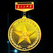 2012年8月：定制廣東省軍區(qū)某師突出貢獻(xiàn)獎(jiǎng)?wù)露ㄖ栖姽φ? title=