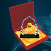 2015年1月：制作中科院/國(guó)云科技千足銀包千足金紀(jì)念幣訂制