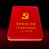 2016年6月定制　漢濱區委組織部優秀黨務工作者獎章制作