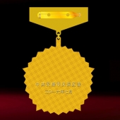 2016年6月定制　漢濱區委組織部優秀黨務工作者獎章制作