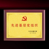 2016年6月制作　中共安康市委先進(jìn)基層黨組織牌匾獎(jiǎng)牌制作