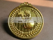 排球運動會比賽獎牌&nbsp;