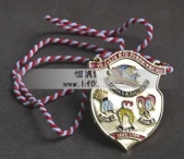 卡通獲獎掛牌金牌,持繩掛牌獎牌,紀(jì)念彩畫獎牌