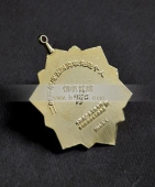 共青團五四青年獎?wù)?五四青年勛章,金質(zhì)勛功章