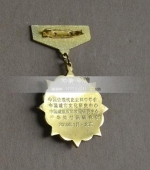 杰出貢獻(xiàn)人物獎牌,杰出貢獻(xiàn)人物獎?wù)?杰出貢獻(xiàn)人物勛章